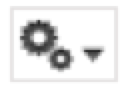 Canvas Option Icon.png
